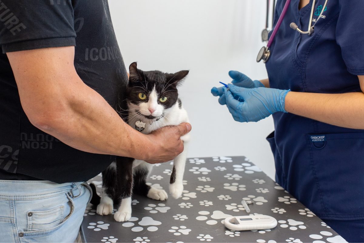 microchip